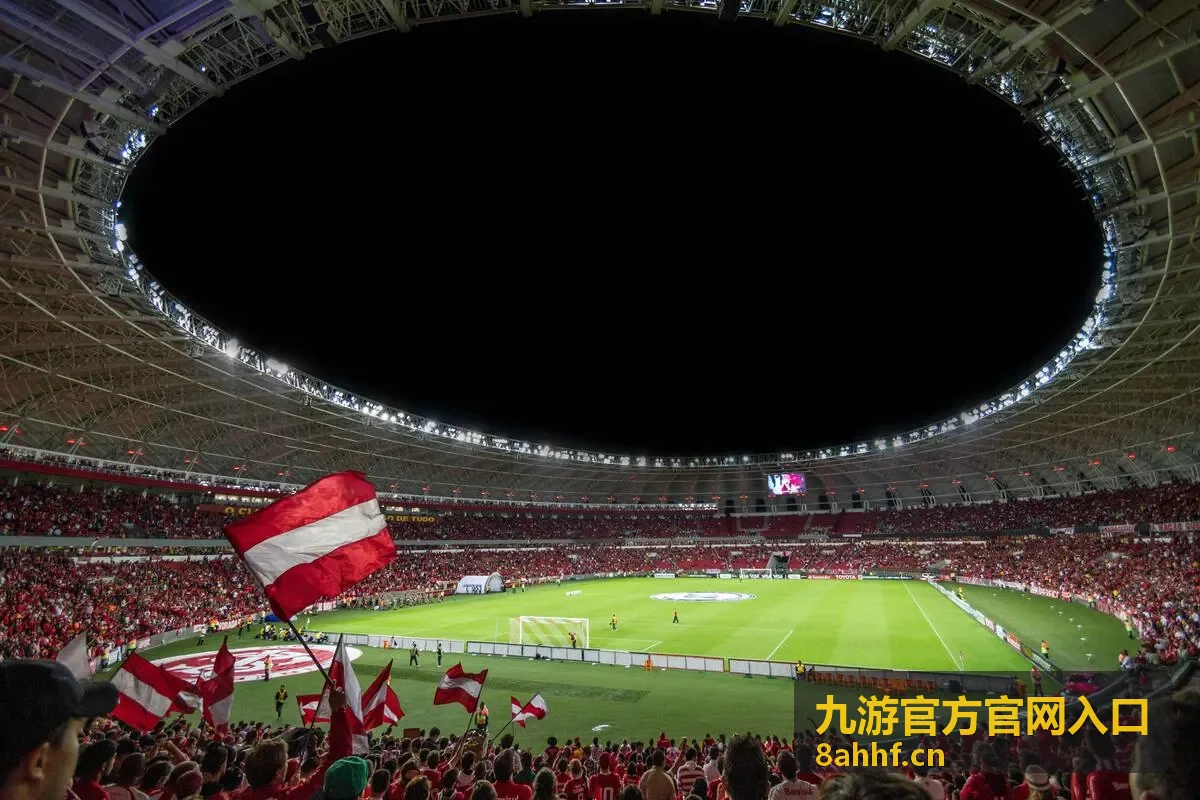 九游官方官网入口异地登录提醒处理顺序说明配图